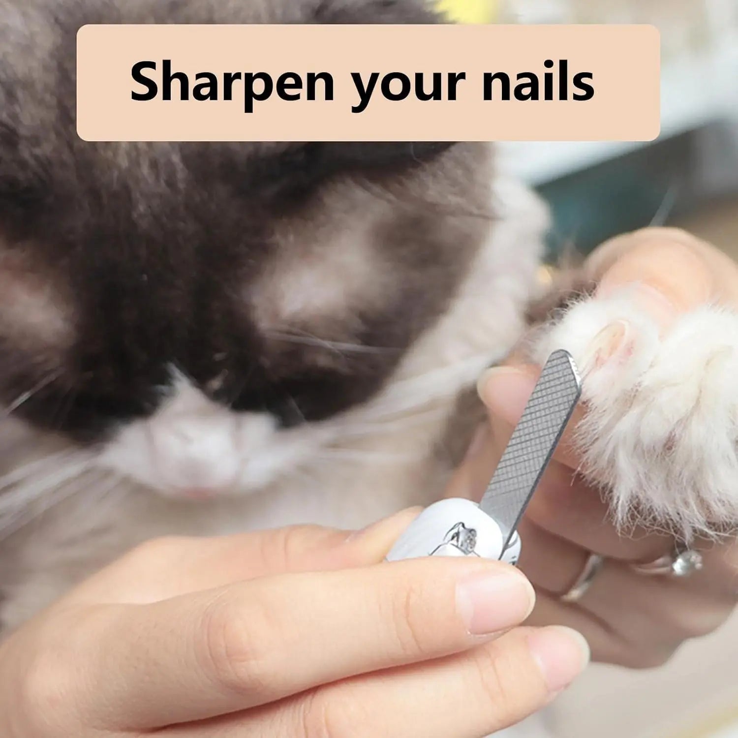 2-in-1 Pet Nail Clipper with LED Light for Enhanced Visibility, Precision Cat and Dog Nail Trimmer for Safe Grooming