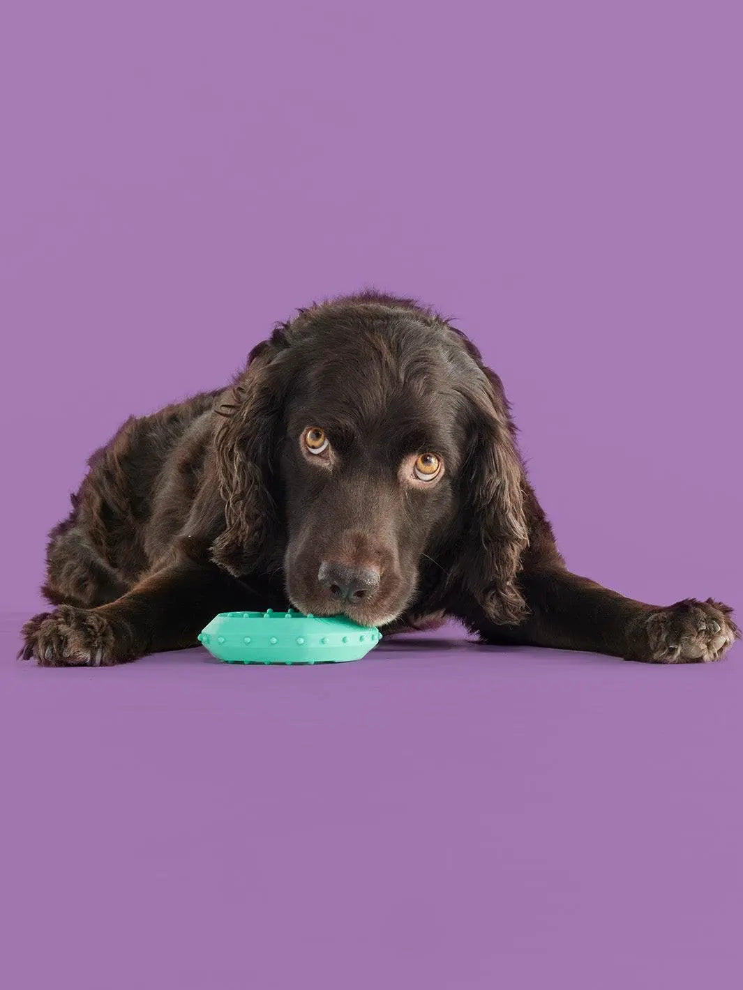 Yomp Chillchew Freezable Dog Toy – Cooling Chew Toy for Soft to Medium Chewers, Ideal for Frozen Treats and Teething Relief – Crafted from Pet-Safe, Non-Toxic Silicone